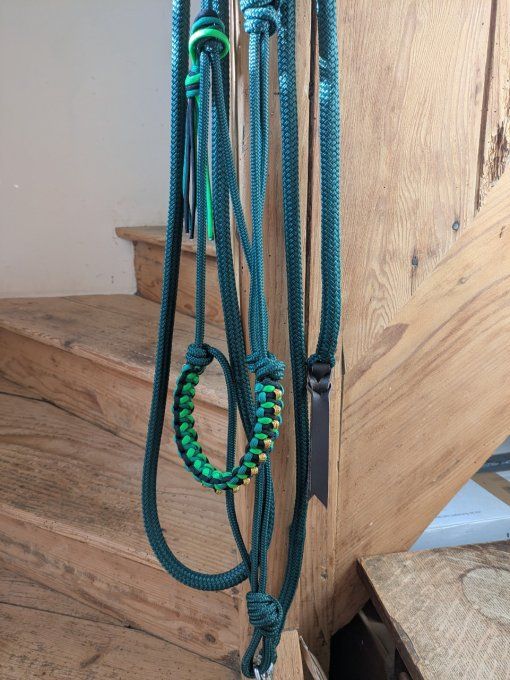 Ensemble vert sapin taille cheval