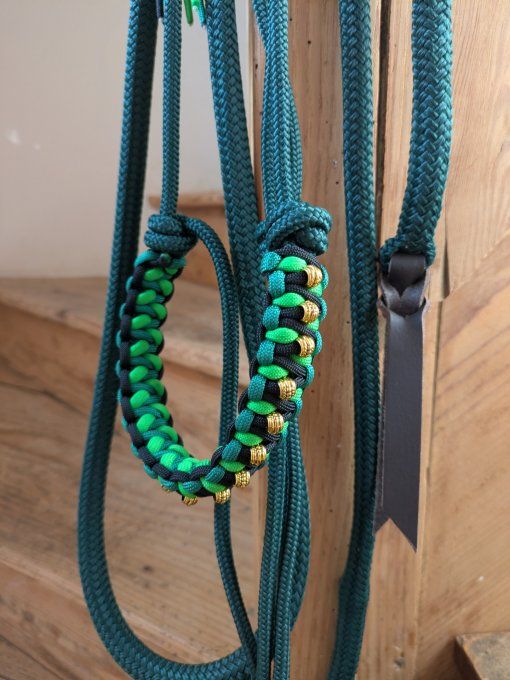 Ensemble vert sapin taille cheval