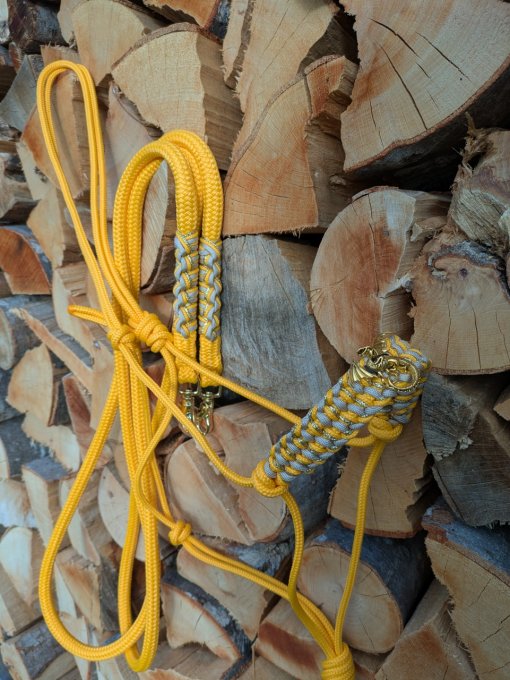 Ensemble "miel" licol et rênes rondes taille cob