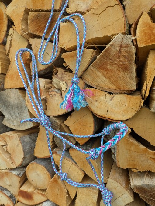 Licol et cordelette taille Shetland coloris unicorn