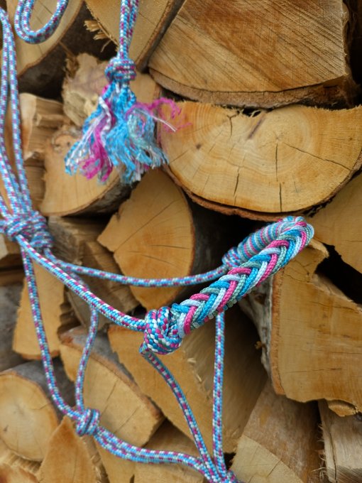 Licol et cordelette taille Shetland coloris unicorn