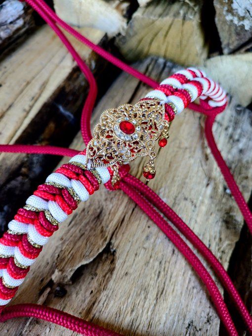 Licol Stella rouge taille cheval