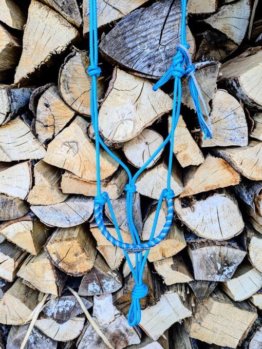 Licol Omena bleu océan taille cheval