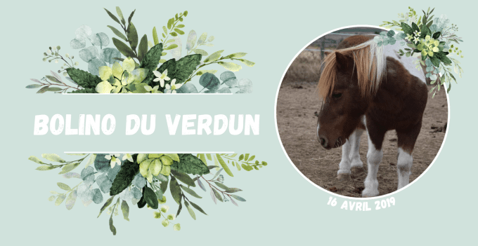 Plaque "Eucalyptus" personnalisée