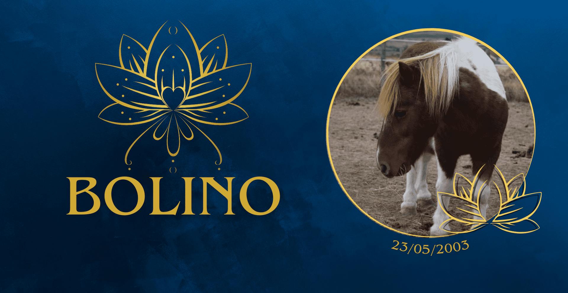 Plaque "Lotus" personnalisée