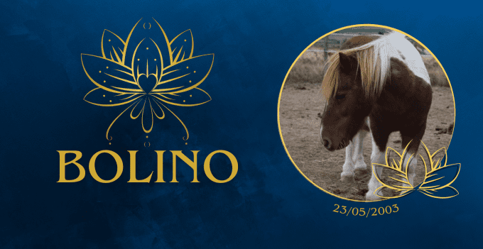 Plaque "Lotus" personnalisée