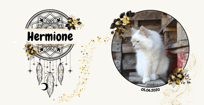 Plaque "attrape rêve noir/doré" personnalisée