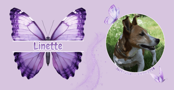 Plaque "papillon violet" personnalisée