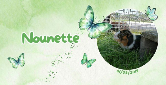 Plaque "Vert" personnalisée