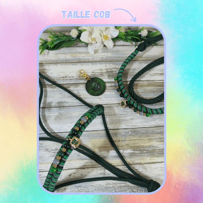 "Ensemble Sorcier" vert (licol, cordelette et médaillon) en taille cob