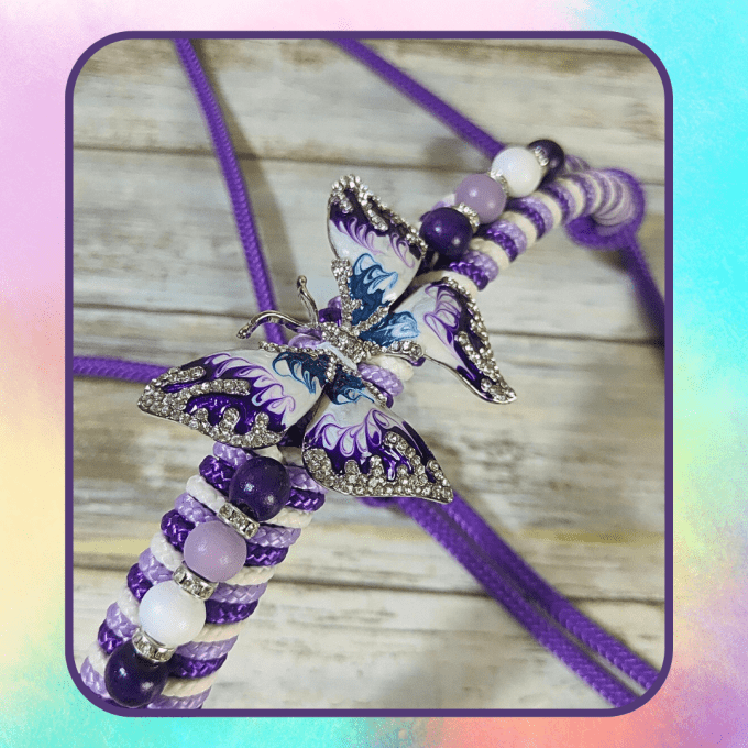 Licol "Fly" violet taille cheval