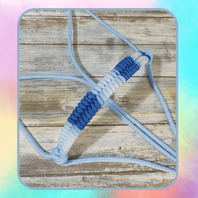 Licol "Blue"