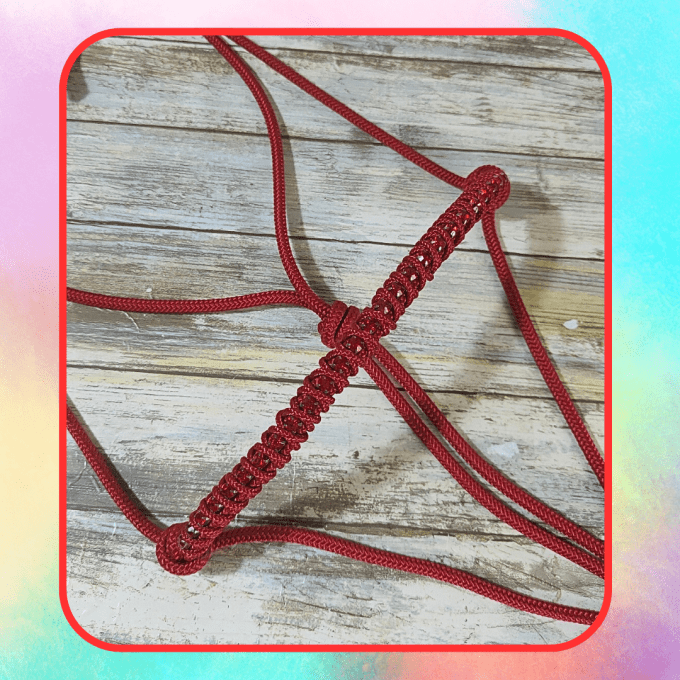 Licol strass rouge foncé taille cheval