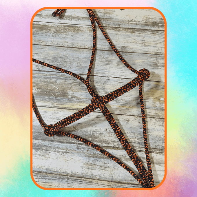 Licol simple orange/noir taille petit cheval