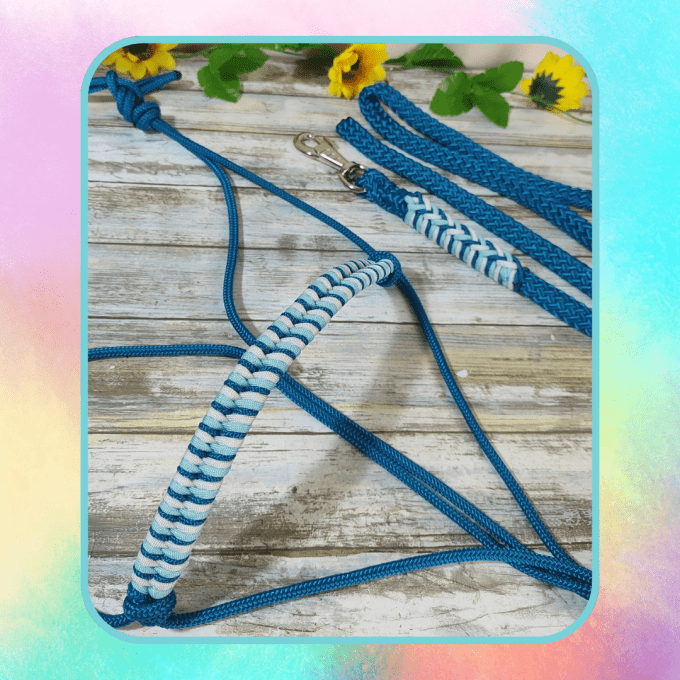 Ensemble aqua licol et longe 2m50 en taille cheval