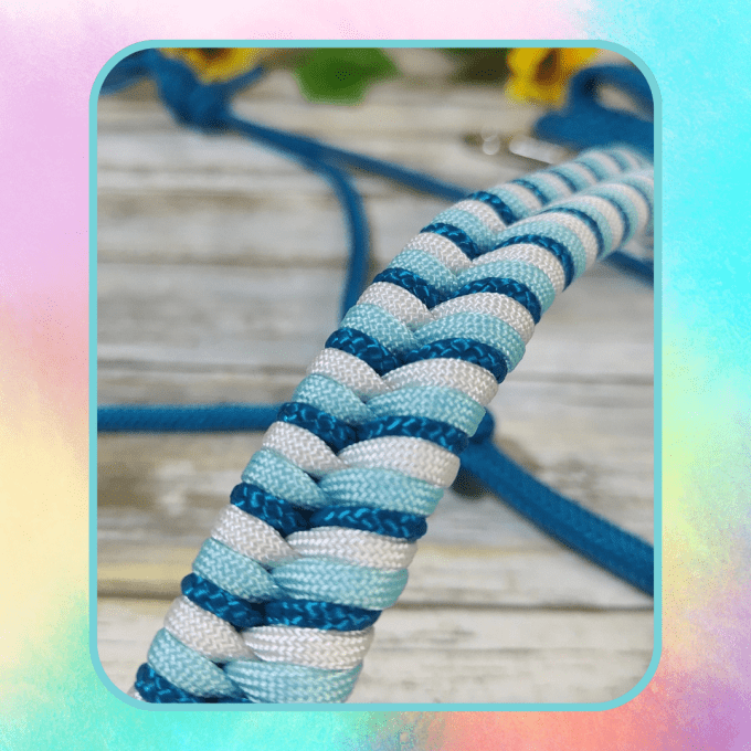 Ensemble aqua licol et longe 2m50 en taille cheval