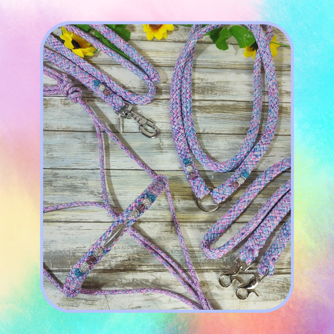 Ensemble "little pony" taille cob