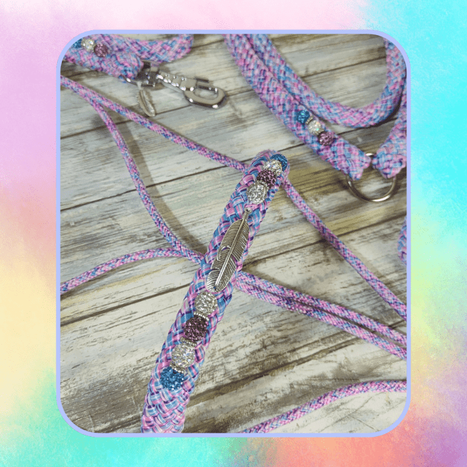 Ensemble "little pony" taille cob