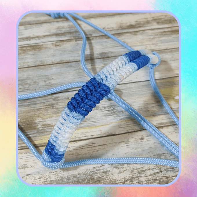 Licol "Blue"