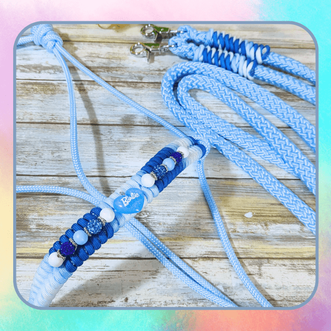 Ensemble "Blue" taille cob (licol et rênes)