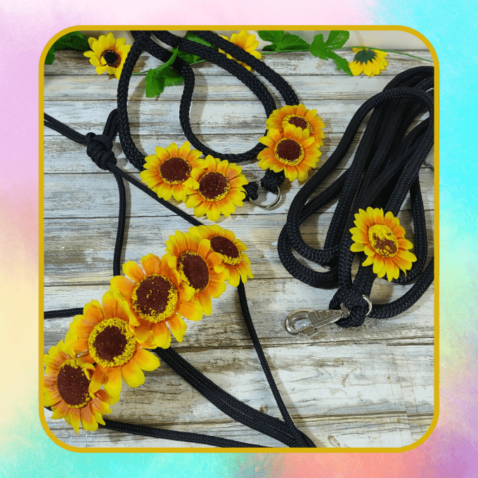 Ensemble Tournesol taille cob