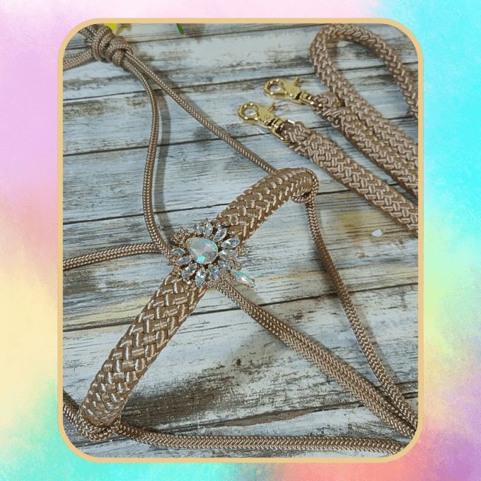 Ensemble beige taille cob