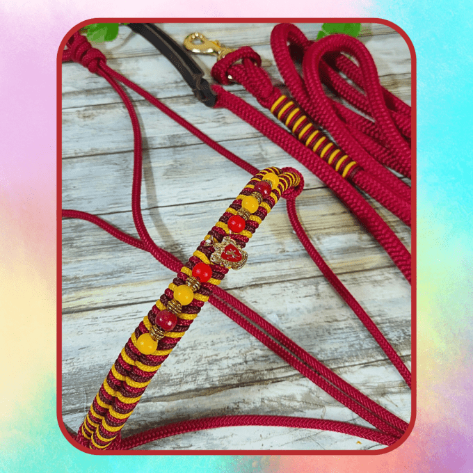 Ensemble Sorcier rouge foncé taille cheval (longe 3m70)