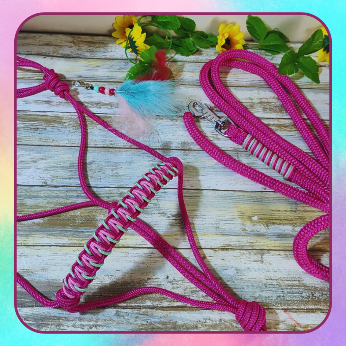 Ensemble fuchsia/menthe taille cob