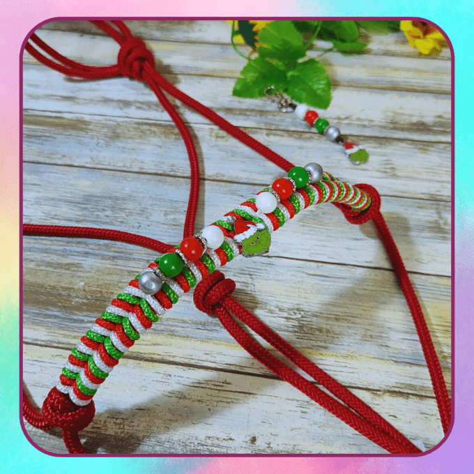 Licol "Noel" taille cob