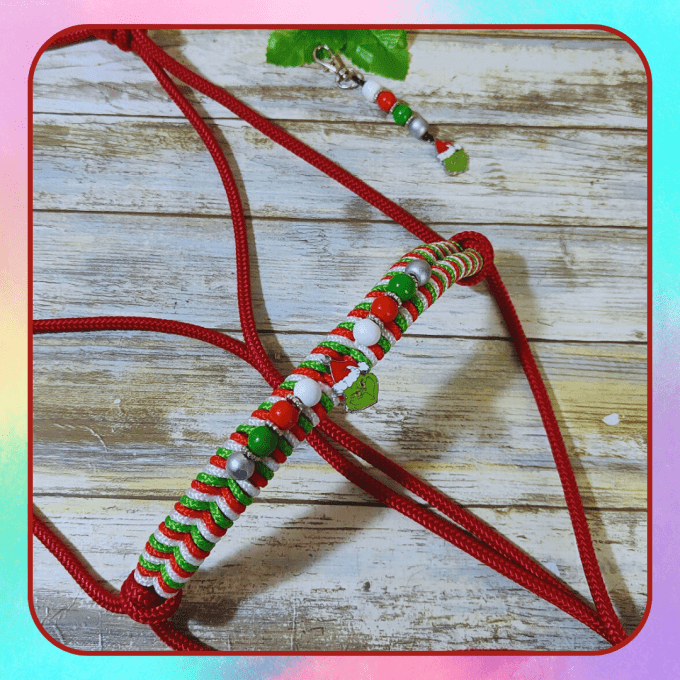 Licol "Noel" taille cob