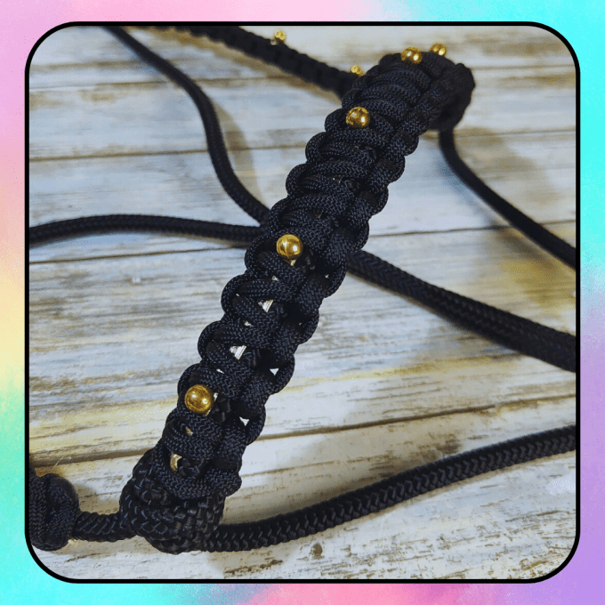 Licol "Eclipse" noir taille cob