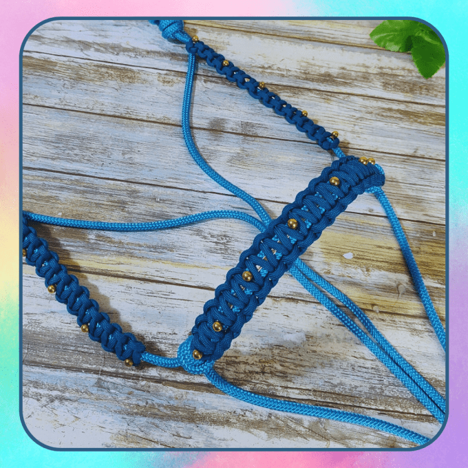 Licol "Eclipse" bleu océan taille cheval