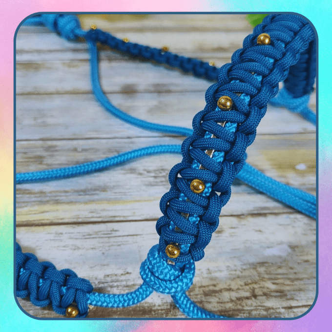 Licol "Eclipse" bleu océan taille cheval