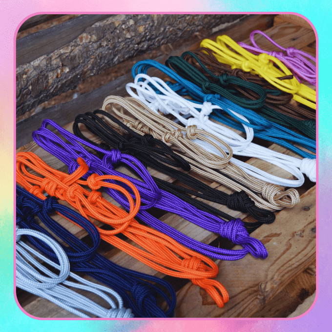 Licol simple  personnalisé