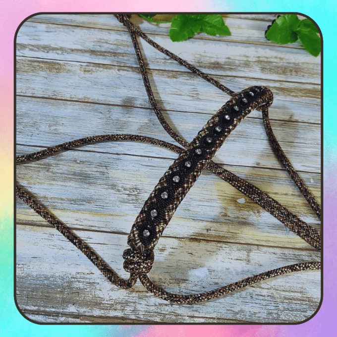 Licol brun chiné taille cob