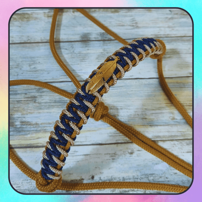 Licol Aya personnalisé