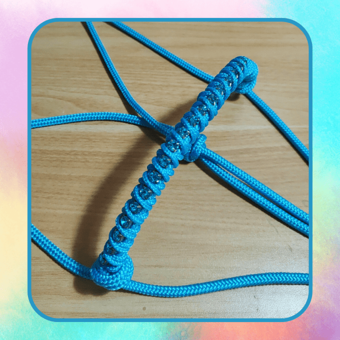 Licol "Strass" bleu océan taille cob 