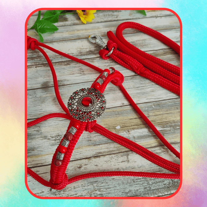 Ensemble rouge taille cob