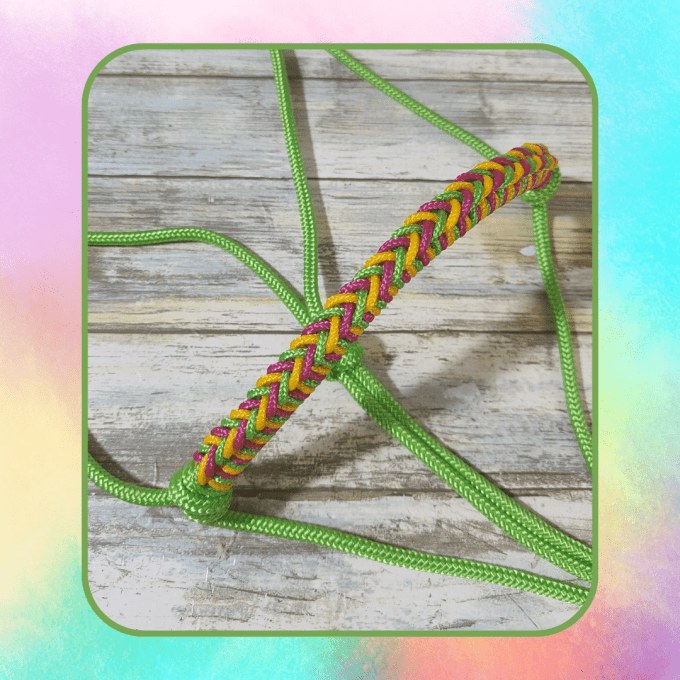 Licol Indigo vert pomme taille cob