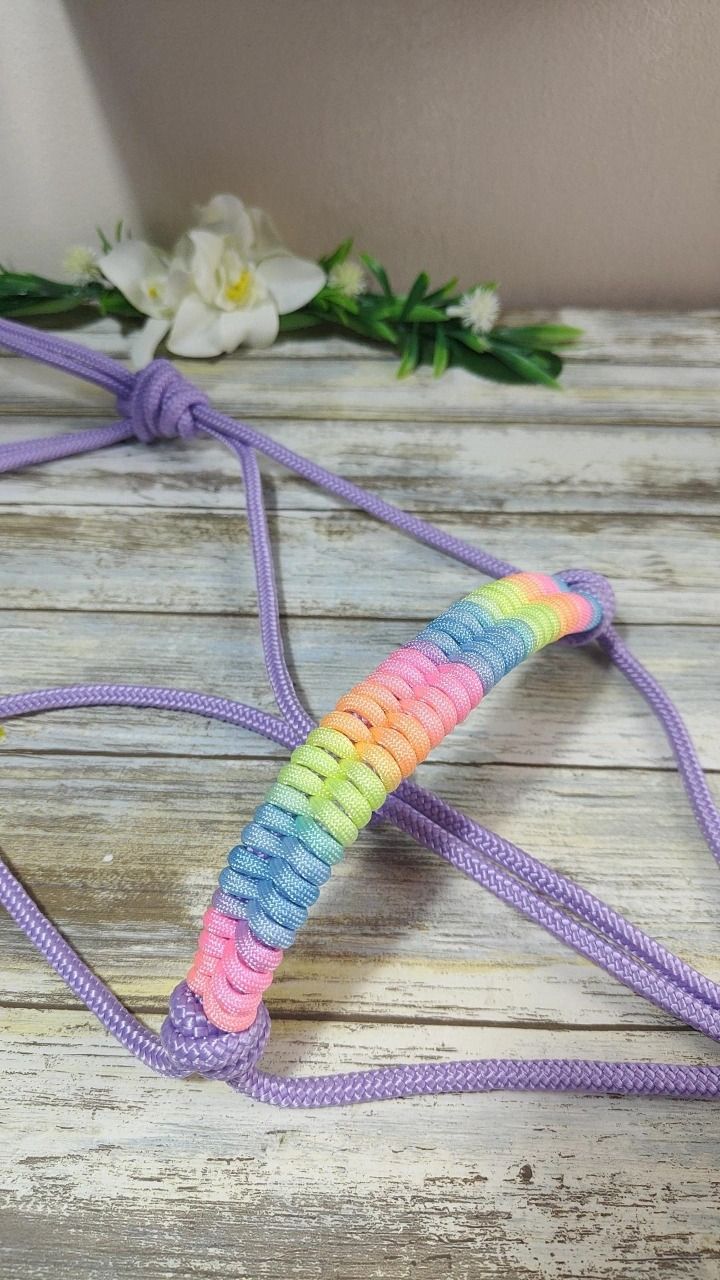 Licol lilas / rainbow taille poney