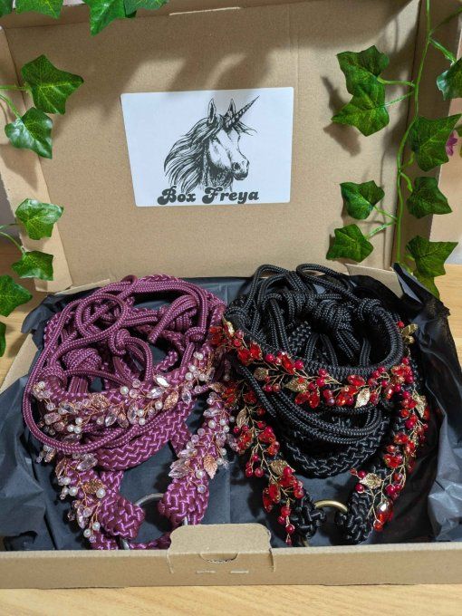Box "Freya" taille cheval