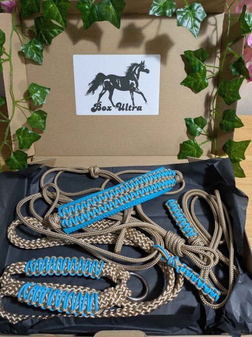 Box " Ultra" taille cob