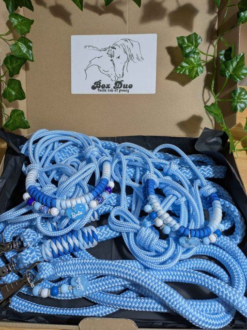 Box "Duo" taille cob et poney