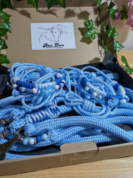 Box "Duo" taille cob et poney