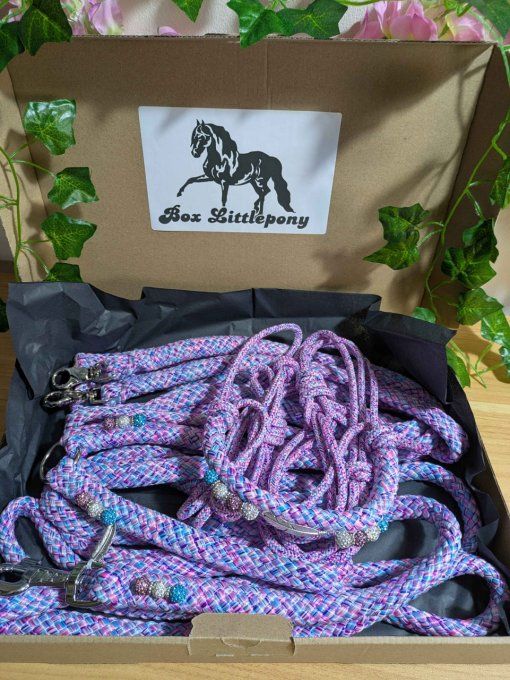 Box "Littlepony" en taille cob