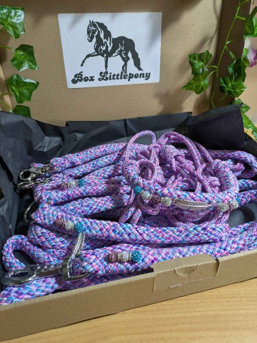 Box "Littlepony" en taille cob