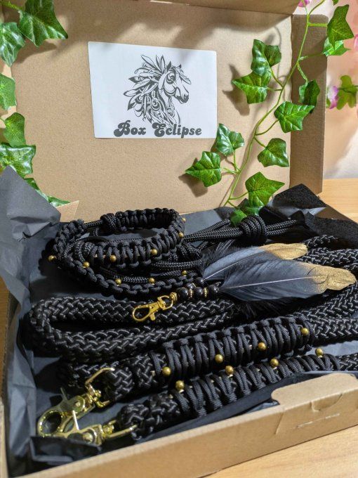 Box "Eclipse" taille cob 