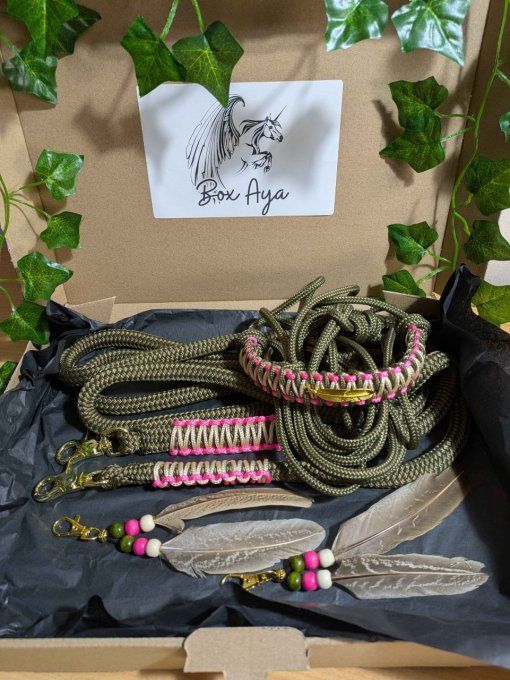 Box "Aya" taille cob