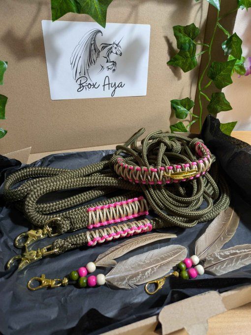 Box "Aya" taille cob