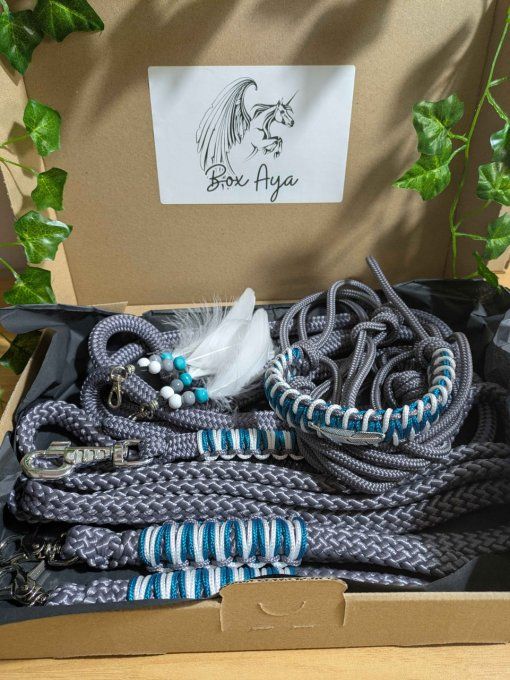 Box "Aya" gris taille cob